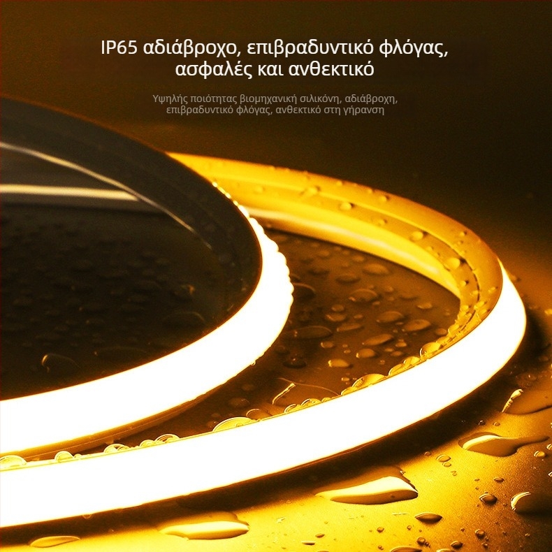 Λωρίδα LED 24V με θήκη σιλικόνης, εξωτερική αδιάβροχη, φλογοανθεκτική, ευέλικτη και εύκαμπτη, ρυθμιζόμενη ένταση φωτισμού και φωτεινή
