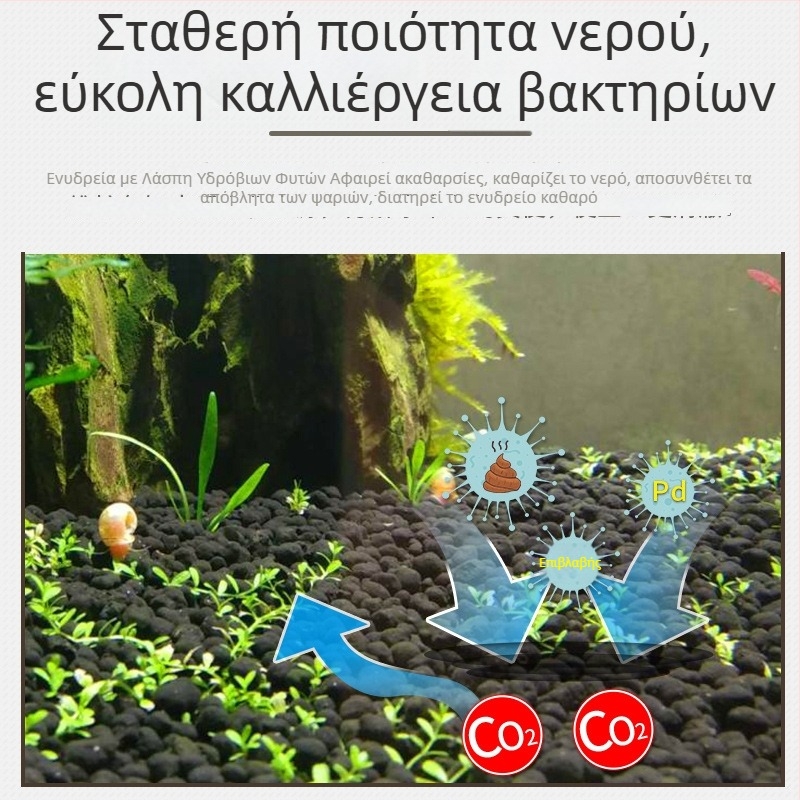 Θρεπτικό υπόστρωμα άμμου για φυτεμένα ενυδρεία με μίνι τοπίο από βρύα
