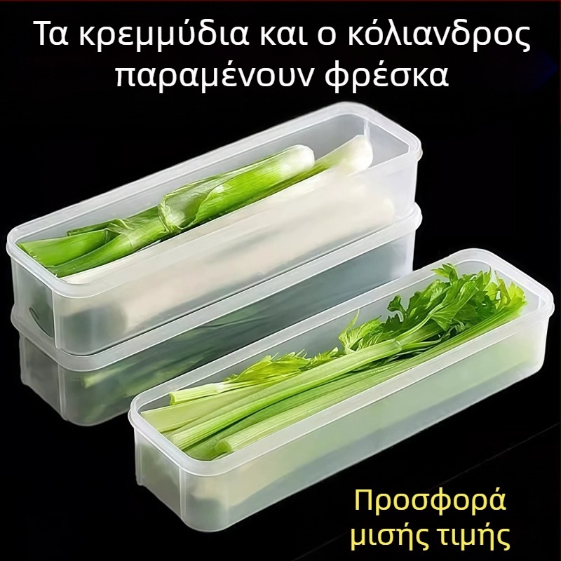 Κουτί αποθήκευσης φαγητού κατάλληλο για ψυγείο με πράσινα κρεμμύδια, κολιανδρό, τζίντζερ, σκόρδο, νουντλς και αυγά
