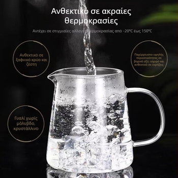 Ανθεκτικό στη ρωγμή γυάλινο τσαγιέρ για ανθισμένο τσάι, με φίλτρο από ανοξείδωτο ατσάλι