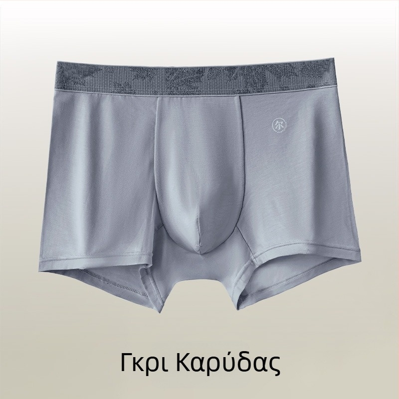 Ανδρικά μποξέρ Lyocell, υψηλής ποιότητας, αναπνεύσιμα, ελαφρύ καλοκαιρινό μοντέλο, μεγάλο μέγεθος