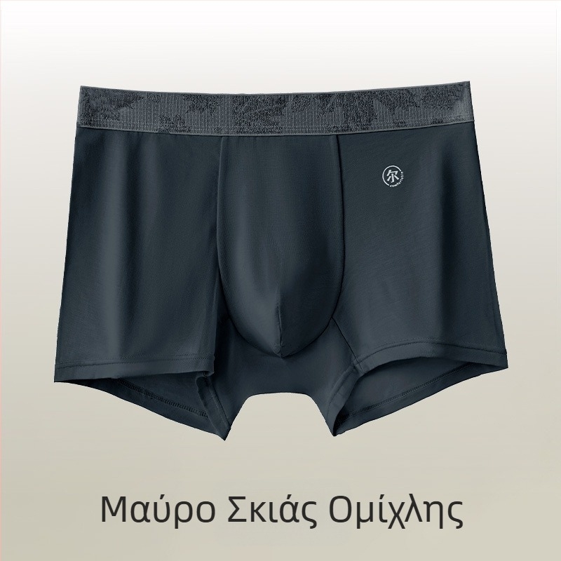 Ανδρικά μποξέρ Lyocell, υψηλής ποιότητας, αναπνεύσιμα, ελαφρύ καλοκαιρινό μοντέλο, μεγάλο μέγεθος