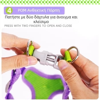 Αεριζόμενος ιμάντας σκύλου με λουρί για μικρές ράτσες