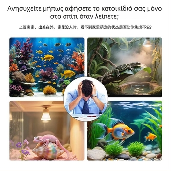 Εσωτερική κάμερα επιτήρησης