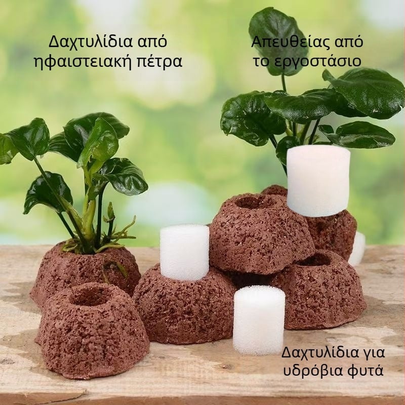 Δαχτυλίδι από ηφαιστειακό βράχο για υδάτινα φυτά – διατρήσιμο δαχτυλίδι φύτευσης με σταθερή βάση και βυθιζόμενο δαχτυλίδι για τη διακόσμηση ενυδρείου