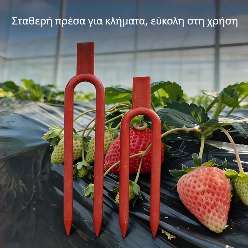 Πηρούνι για βλαστάρια καρπουζιού — εργαλείο στήριξης φυτών και στερέωσης βλαστών για καρπούζι, φράουλες και βατόμουρα