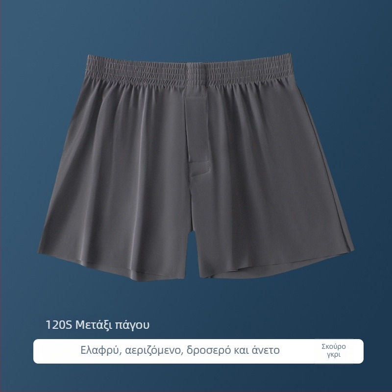 Ανδρικά boxer briefs από ice silk, καλοκαιρινά, Plus Size, άνετα, διαπερατά, γρήγορο στέγνωμα, χωρίς ραφές, παντελόνια οικιακής χρήσης