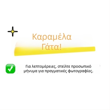 Κασετίνα με γάτα, κορεατικού στυλ, ευρύχωρη και στυλάτη αποθήκευση ειδών γραφείου για μαθητές