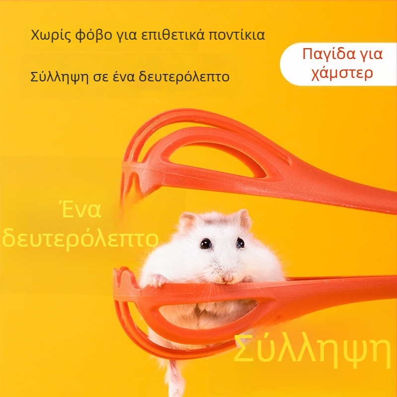Διαδραστικό παιχνίδι για χάμστερ και συλλογή διακόσμησης περιβάλλοντος