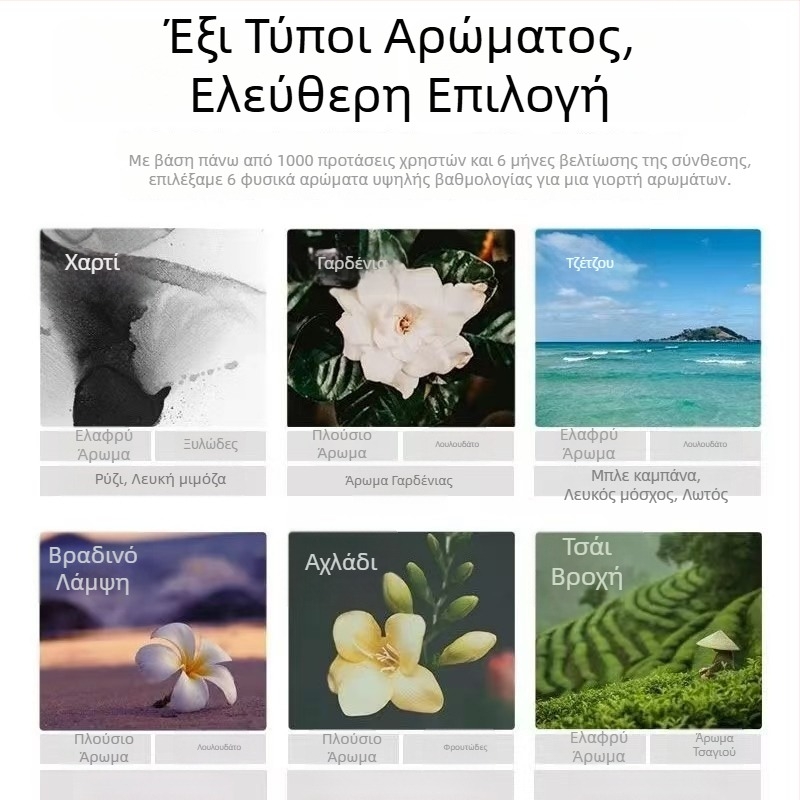Κάρτα αντικατάστασης αρώματος για το BYD Han EV και Denza D9/N7/N8/Z9 — φλοράλ χίπρ άρωμα