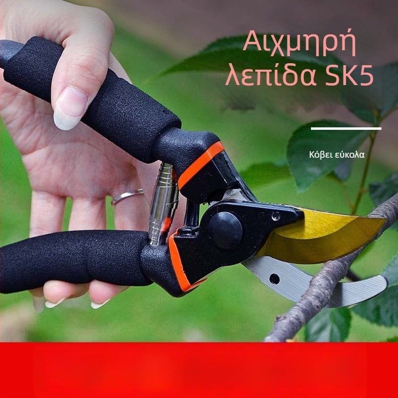 Κηπουρικά ψαλίδια κλαδέματος για κλαδιά και φρούτων δέντρων