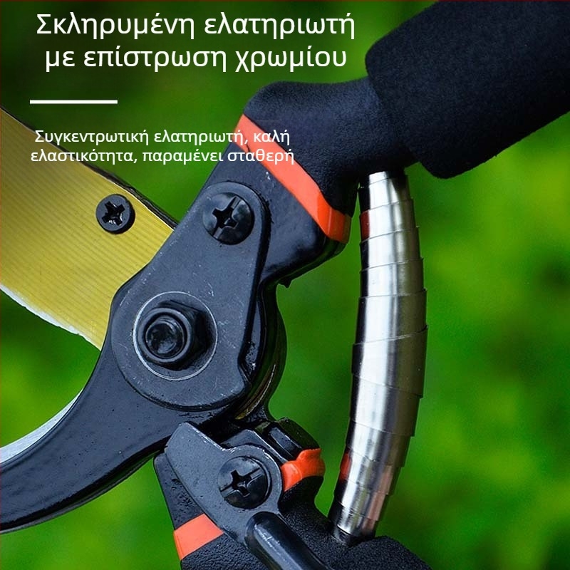 Κηπουρικά ψαλίδια κλαδέματος για κλαδιά και φρούτων δέντρων