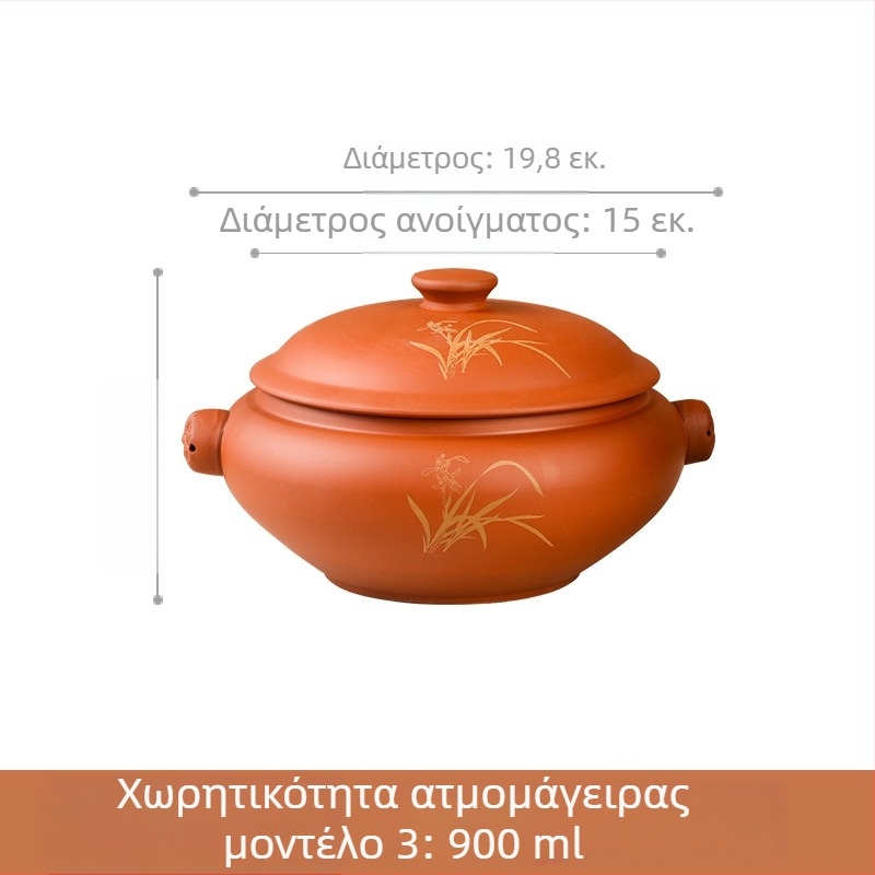 Κεραμικός ατμομάγειρας με διαχωριστή νερού για ατμό, κοτόπουλο