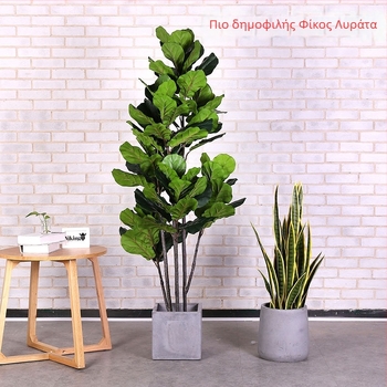 Μεγάλο τεχνητό fiddle-leaf fig σε γλάστρα, εσωτερική διακόσμηση σαλονιού και βιτρίνας