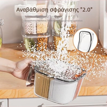 Ενοποιημένο κουτί καρυκευμάτων για την κουζίνα με πολλαπλά διαμερίσματα, διαφανές δοχείο για αλάτι, πιπέρι και μονονατριούμιο γλουταμικό νάτριο