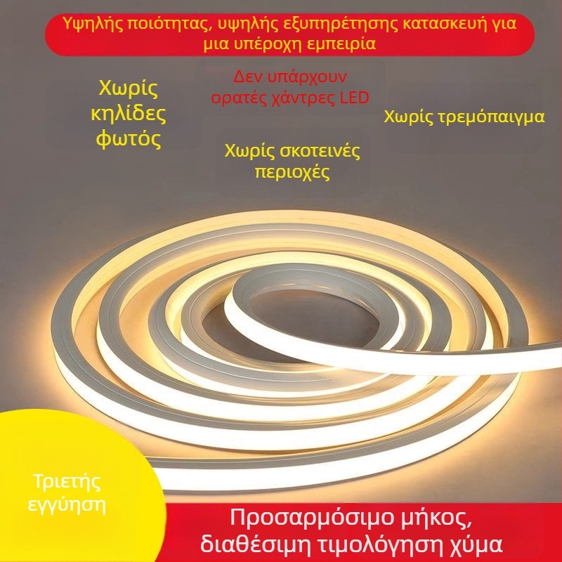 Ελαστική σιλικόνη LED ταινία, εύκαμπτη ενσωματωμένη λωρίδα φωτισμού, 12/24/220 V, IP65, 120 LED (2835)