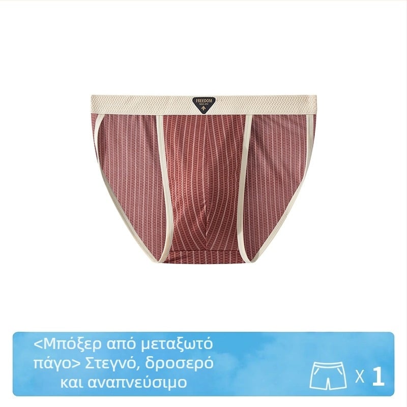 Ανδρικά αντιβακτηριακά μποξέρ με ρίγες από ice silk