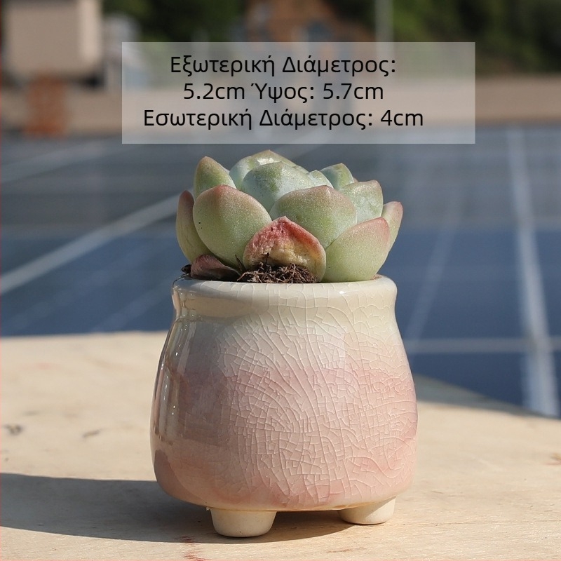 Κεραμική γλάστρα για παχύφυτα σε κρεμ χρώμα – στυλ φιάλης γάλακτος, κατάλληλη για οικιακή και εξωτερική χρήση