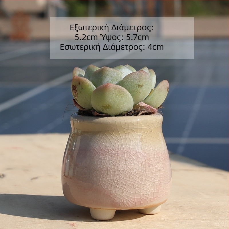 Κεραμική γλάστρα για παχύφυτα σε κρεμ χρώμα – στυλ φιάλης γάλακτος, κατάλληλη για οικιακή και εξωτερική χρήση