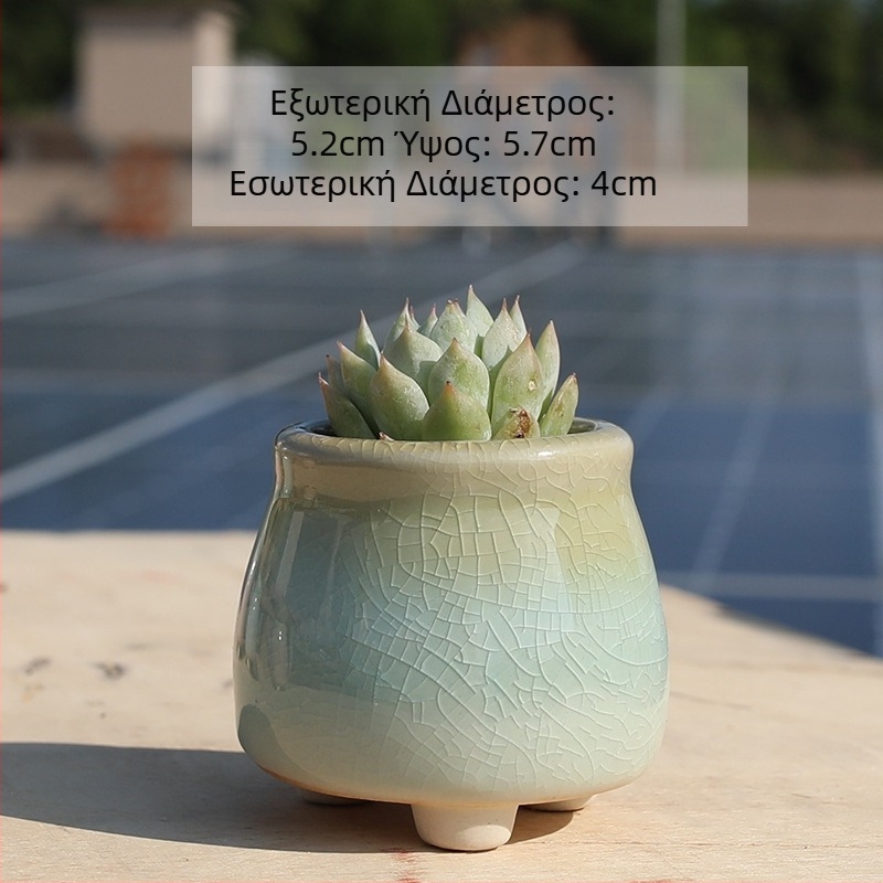 Κεραμική γλάστρα για παχύφυτα σε κρεμ χρώμα – στυλ φιάλης γάλακτος, κατάλληλη για οικιακή και εξωτερική χρήση