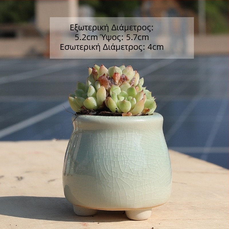 Κεραμική γλάστρα για παχύφυτα σε κρεμ χρώμα – στυλ φιάλης γάλακτος, κατάλληλη για οικιακή και εξωτερική χρήση