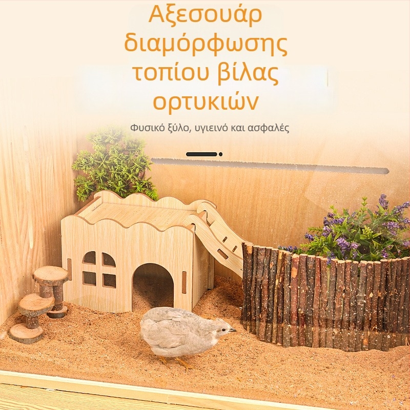 Ξύλινο σπίτι παιχνιδιού με σκάλα για χάμστερ και μικρά ζώα· διακοσμητικά τοπίου και εξοπλισμός για χάμστερ