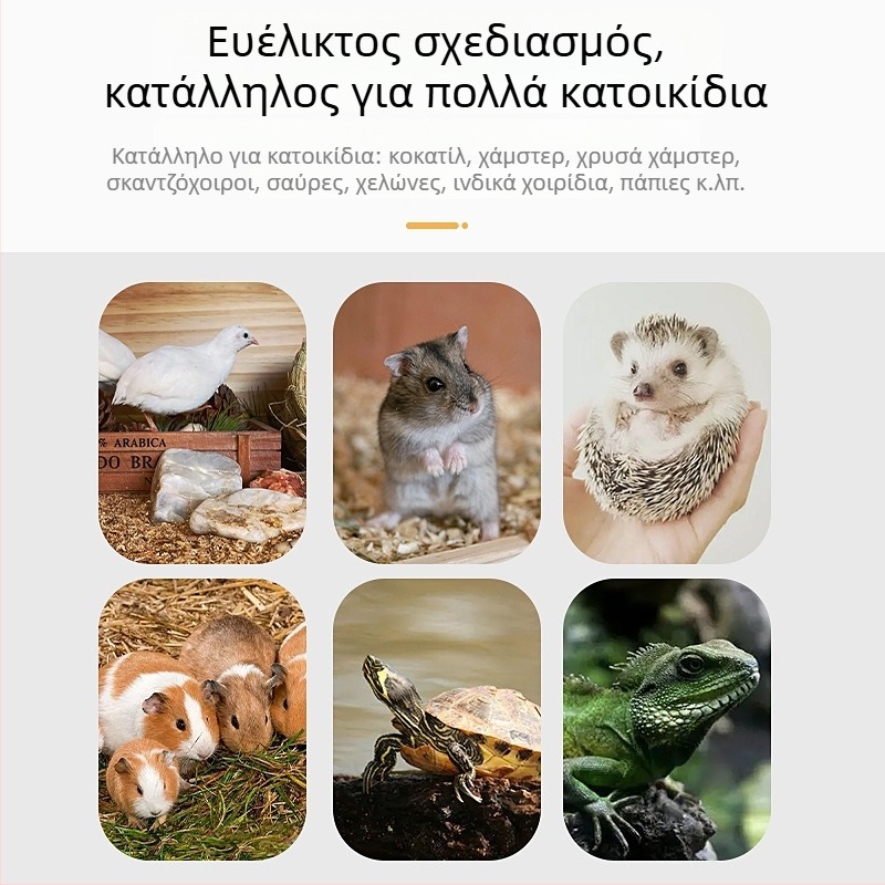 Ξύλινο σπίτι παιχνιδιού με σκάλα για χάμστερ και μικρά ζώα· διακοσμητικά τοπίου και εξοπλισμός για χάμστερ