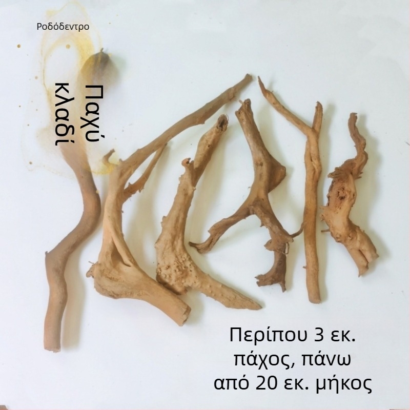 Σετ διαμόρφωσης ενυδρείου: ρίζες ροδοδένδρου, βυθισμένο ξύλο, παχιές και λεπτές κλαδιές, και σκελετό φυτών