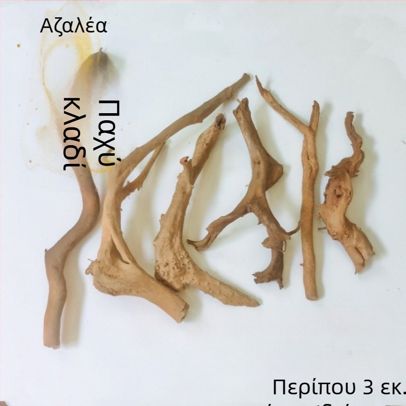 Σετ διαμόρφωσης ενυδρείου: ρίζες ροδοδένδρου, βυθισμένο ξύλο, παχιές και λεπτές κλαδιές, και σκελετό φυτών