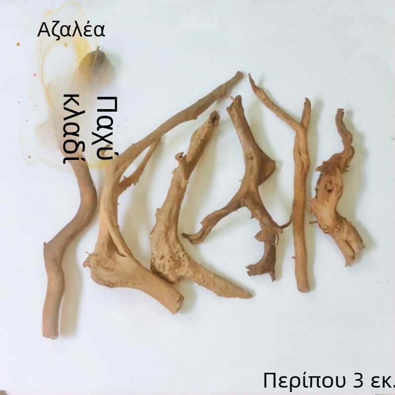 Σετ διαμόρφωσης ενυδρείου: ρίζες ροδοδένδρου, βυθισμένο ξύλο, παχιές και λεπτές κλαδιές, και σκελετό φυτών