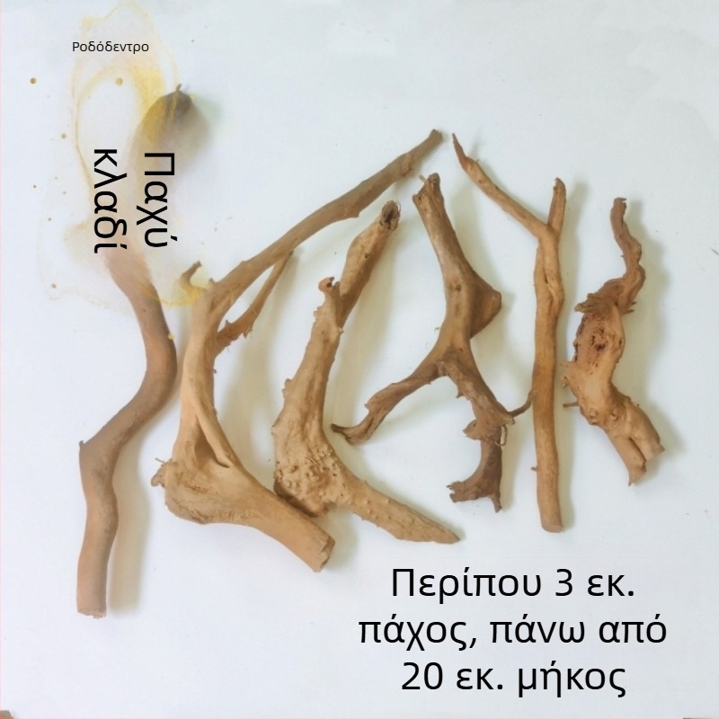 Σετ διαμόρφωσης ενυδρείου: ρίζες ροδοδένδρου, βυθισμένο ξύλο, παχιές και λεπτές κλαδιές, και σκελετό φυτών