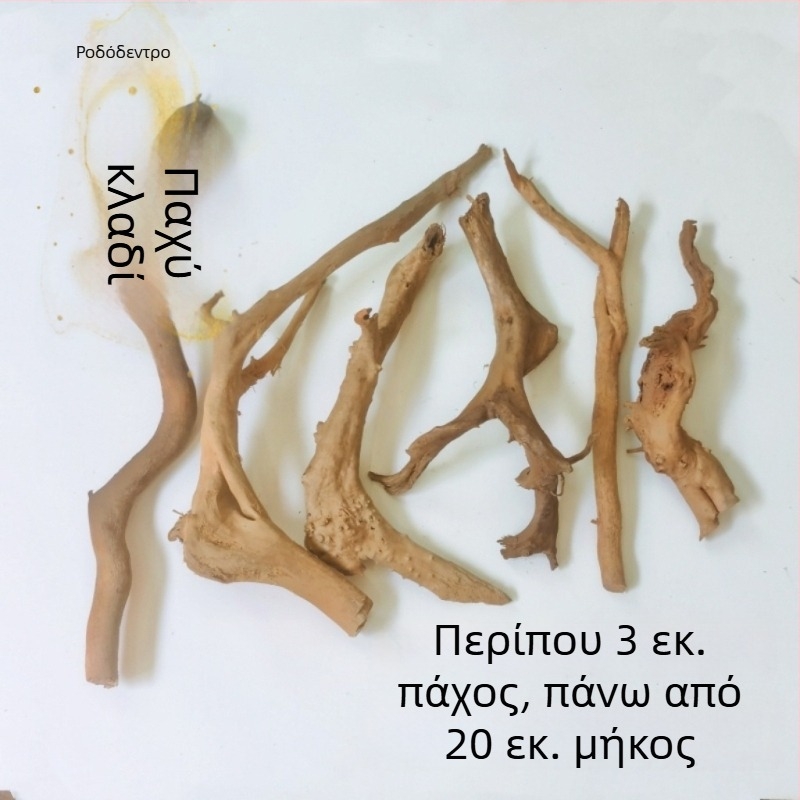 Σετ διαμόρφωσης ενυδρείου: ρίζες ροδοδένδρου, βυθισμένο ξύλο, παχιές και λεπτές κλαδιές, και σκελετό φυτών