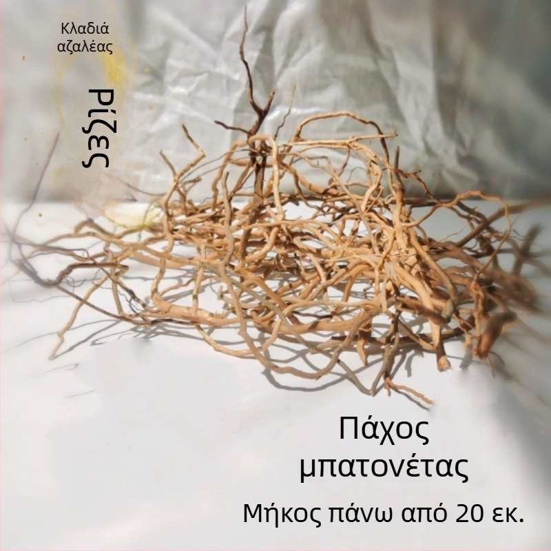 Σετ διαμόρφωσης ενυδρείου: ρίζες ροδοδένδρου, βυθισμένο ξύλο, παχιές και λεπτές κλαδιές, και σκελετό φυτών