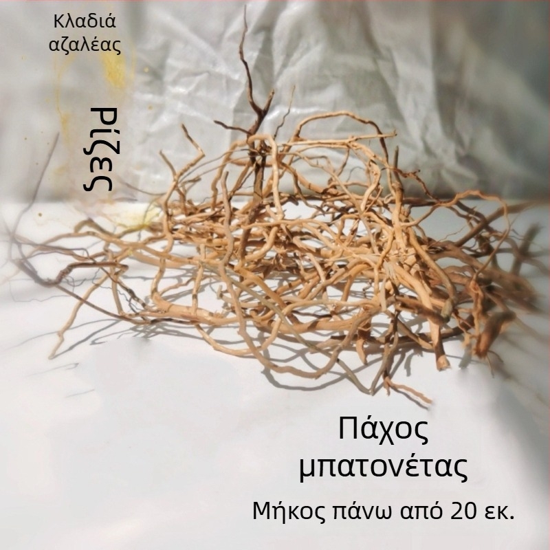 Σετ διαμόρφωσης ενυδρείου: ρίζες ροδοδένδρου, βυθισμένο ξύλο, παχιές και λεπτές κλαδιές, και σκελετό φυτών