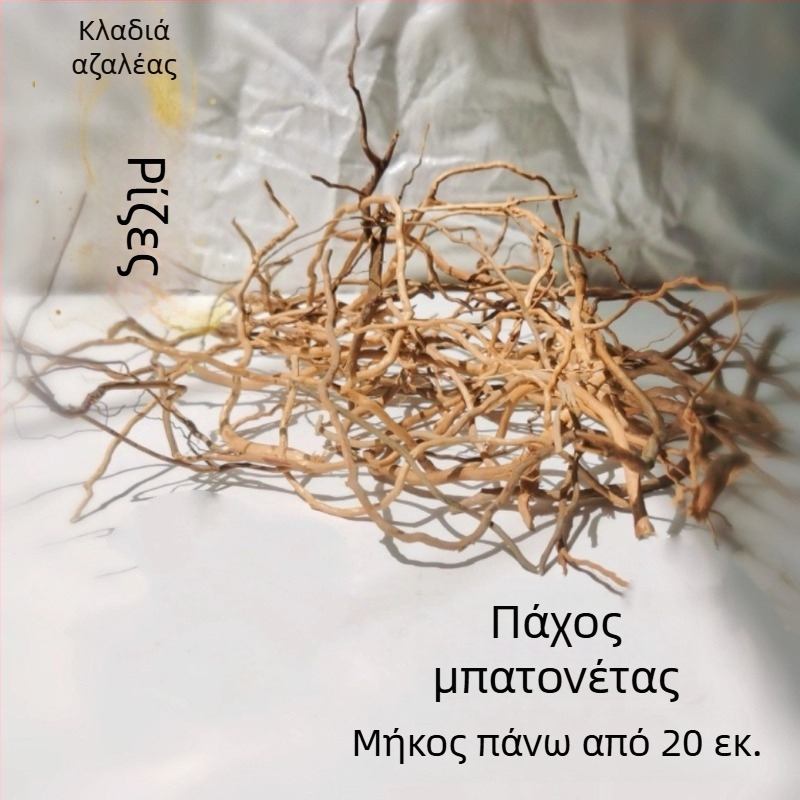 Σετ διαμόρφωσης ενυδρείου: ρίζες ροδοδένδρου, βυθισμένο ξύλο, παχιές και λεπτές κλαδιές, και σκελετό φυτών