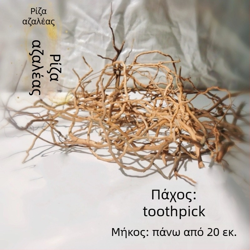 Σετ διαμόρφωσης ενυδρείου: ρίζες ροδοδένδρου, βυθισμένο ξύλο, παχιές και λεπτές κλαδιές, και σκελετό φυτών