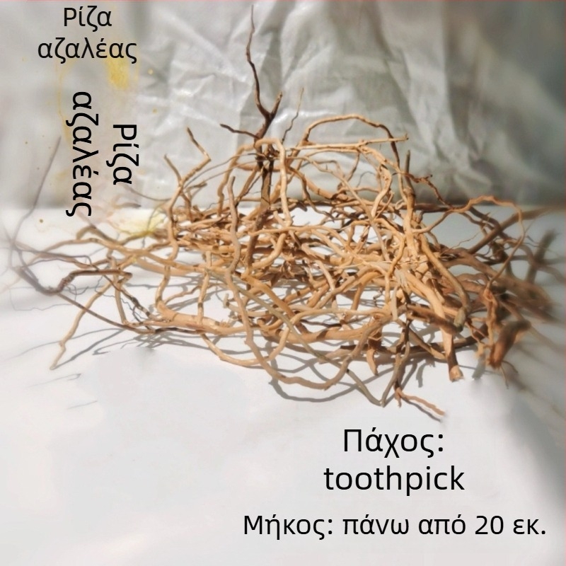 Σετ διαμόρφωσης ενυδρείου: ρίζες ροδοδένδρου, βυθισμένο ξύλο, παχιές και λεπτές κλαδιές, και σκελετό φυτών