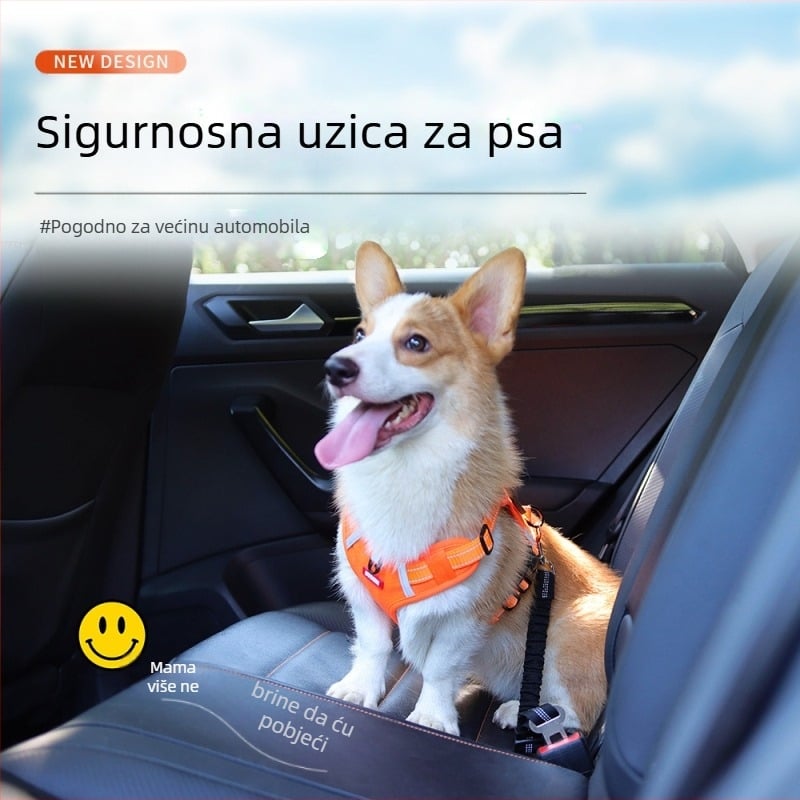 Prekogranične eksplozije Uže za vuču kućnih ljubimaca i automobila Sigurnosno uže za pse u automobilu Podesivo sigurnosno uže Uže za vuču pasa