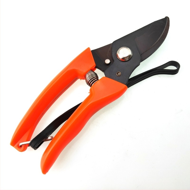 Prekogranične vruće prodavane 702 viseće užadi višenamjenske žice željezne škare za hortikulturno cvjećarstvo vrtne grane nehrđajućeg čelika škare za orezivanje