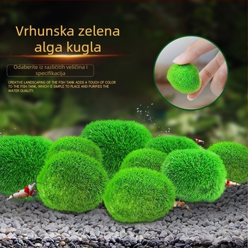 Umjetni akvarij s morskim algama, kugla od vodenih biljaka, mikro krajolik, ekološka boca, zelena alga, kugla od akvarija, krajolik unutarnje radne površine, ukrasi