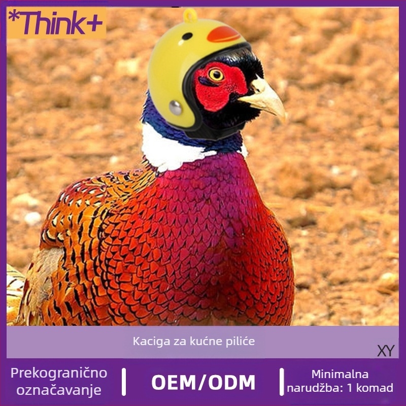 Kaciga za kućne ljubimce kokoš, golub pismonoša, kaciga za kućne ljubimce kokoš, kaciga za goluba papiga, smiješna zaštitna kapuljača, zaštitna kaciga za ptice