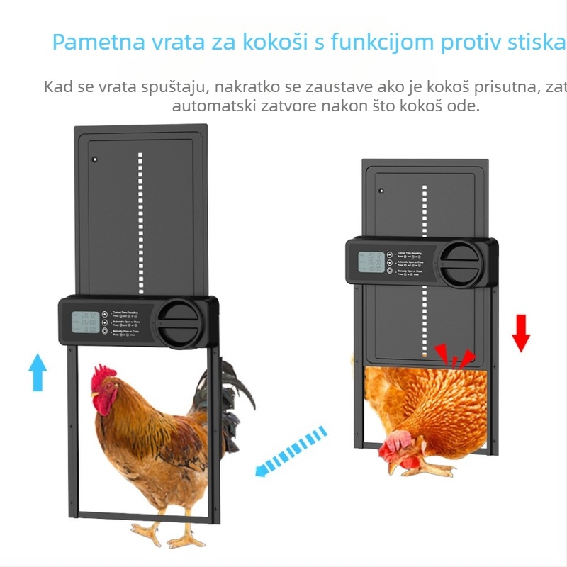 Vrata za kokošinjac s električnim tajmerom, pametna vrata za kokošinjac, zaštita od priklještenja, Amazon prekogranična prodaja, kreativna oprema za kućne ljubimce