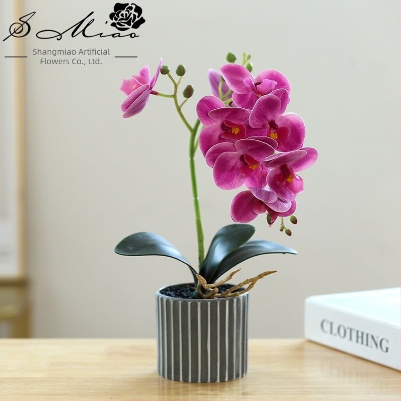 Umjetni bonsai orhideje Phalaenopsis, realistično cvijeće koje izravno isporučuje proizvođač, kućni ukrasi, dropshipping, umjetne biljke u saksiji, umjetno cvijeće