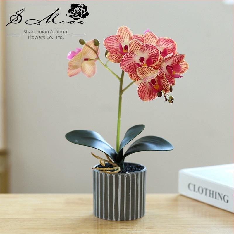 Umjetni bonsai orhideje Phalaenopsis, realistično cvijeće koje izravno isporučuje proizvođač, kućni ukrasi, dropshipping, umjetne biljke u saksiji, umjetno cvijeće