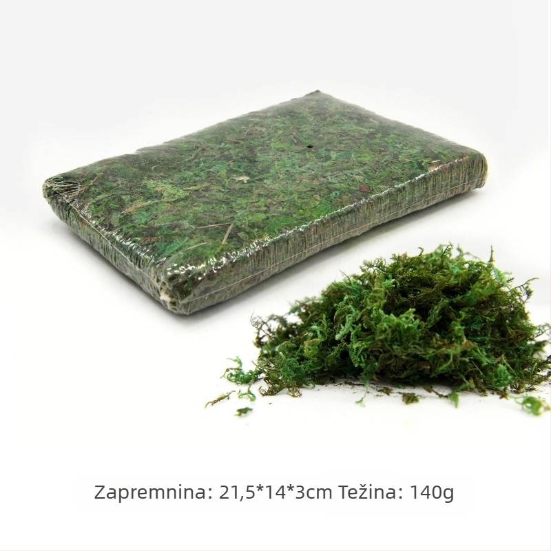 Besmrtna mahovina mahovina u kutiji zidno uređenje mahovine izlog interijera mikro-pejzaž vječni cvijet mahovina