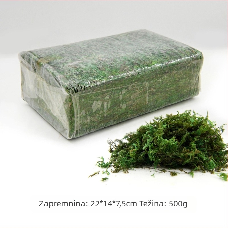 Besmrtna mahovina mahovina u kutiji zidno uređenje mahovine izlog interijera mikro-pejzaž vječni cvijet mahovina