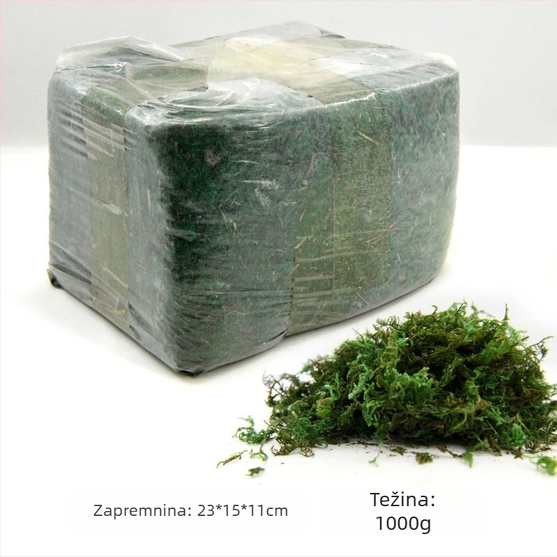 Besmrtna mahovina mahovina u kutiji zidno uređenje mahovine izlog interijera mikro-pejzaž vječni cvijet mahovina