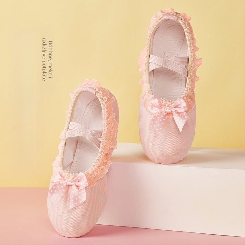 Plesne cipele za žene i djecu s mekim potplatom, jesenske i zimske, za vježbanje, podstavljene flisom, mesnate čipkaste, mačje kandže za djevojčice, princeza baletne cipele