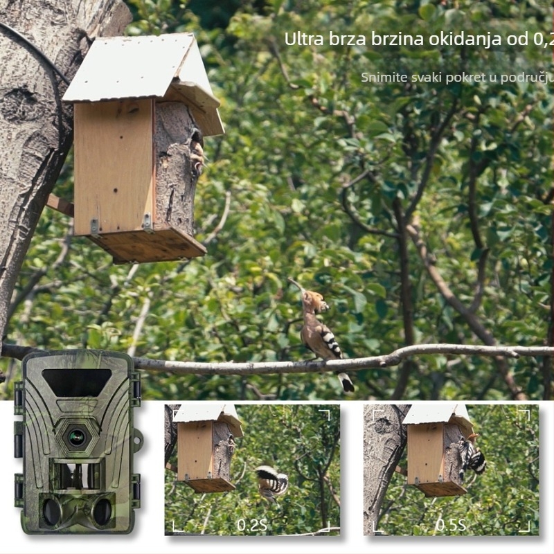 8K infracrvena akcijska kamera Wifi Pr802W Vanjski nadzor Praćenje životinja Danju i noću Foto i video