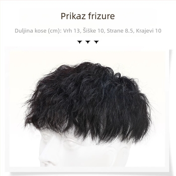 Muška perika od prave kose, ponovno izdanje iznad glave, Block Handsome, hongkonški stil, Leslie Roll Atmosphere, muško ponovno izdanje na zalihi